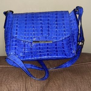 Beautiful Brahmin in Blue.